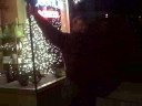 Tuskies - Night Owl Video