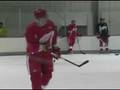 Hossa, Conklin adjust to life as Red Wings