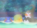 Starly_0001.wmv