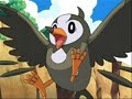 Starly_0001.wmv