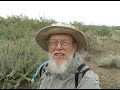 Grumpy Ojii-san Plunders more Stars