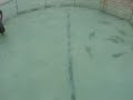 Sharkdefense Magnet Video 1 Sharkdefense Magnet Video 1
