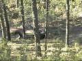 Toyota 4x4 in backwoods Montana
