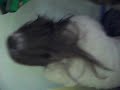 La saca mocos