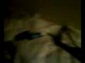 Pries sein Bett XD part1