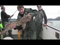 Cove Lodge in Elfin Cove Alaska - Fishing, Diving, Photography