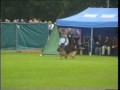 SV BSZS 2001 Dusseldorf GHKL Ruden Asslan v Haus Schiran TSB protection service