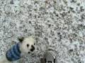 videos de Snøkos med Leah og Twiggy