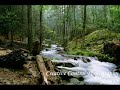 ustad naim nazary - raag gujri todi