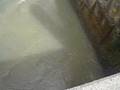Vertido contaminante na ría de Vigo