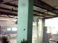 Typhoon Milenyo (Lucena City) 10:00am