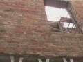 videos de Green Grows in Brooklyn