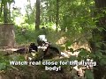 Op Wolverine Part 1, Airsoft Battle War Skirmish in Hendersonville North Carolina