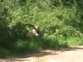 Op Wolverine Part 1, Airsoft Battle War Skirmish in Hendersonville North Carolina