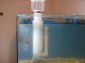 Teste de skimmer interno morato 250 durante manutenção do aquário.Não aconselho utilizar bombas acima de 900 lts/h neste modelo de skimmer.No video, estou utilizando uma bomba Chosen Power Head 720 lts/h.Anteriormente utilizei com duas bombas diferentes:A primeira foi uma maxijet 1200, onde houveram transbordamentos constantes.Depois, comprei uma maxijet 1000, onde os transbordamentos continuaram, mas com menos frequência.O funcionamento pleno ocorreu somente quando passei a utilizar uma bomba de 720 lts/h.Utilizo o skimmer em um sump traseiro. 