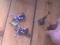 les necron contre mozinor les necron contre mozinor