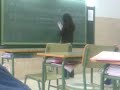 Carolina en el encerado
