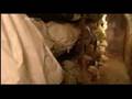Foto v�deo