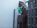 Parkour And Freerunning