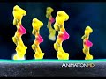 3D Medical Animation by AnimationMD
