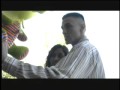 Live Drama \"SHOTGUN\" intro - 2k5 Live Drama \"SHOTGUN\" intro - 2k5