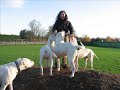 Anita bij Del Grande Casador Branco