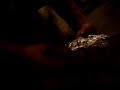crysis-studios-co2-bomb-1.html