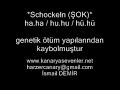 www.kanaryasevenler.net harzer canary kanarya e?itim videosu www.kanaryasevenler.net harzer canary kanarya e?itim videosu