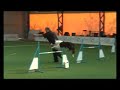 Orsz�gos Bajnoks�g 2008 - Bubu
