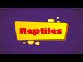 Flash cards for children - Reptiles