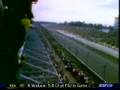 1973 Indy 500 Salt Walther Crash