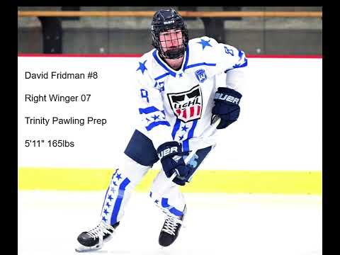 USHL Combine - David Fridman #8 Highlights