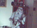 Almost Star Wars Fever Dog