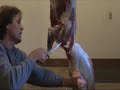Methods of skinning your Deer segment 3