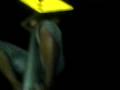 videos de Climbing up traffic part 2