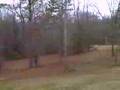 Stinnett House #1