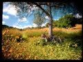 K-Fee Commercial \
