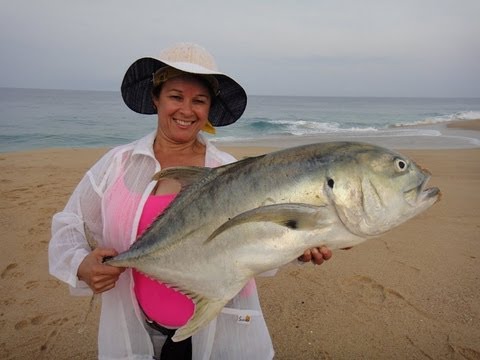 Funny Jack Crevalle Release