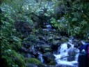 Tramping