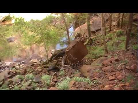 grand national results