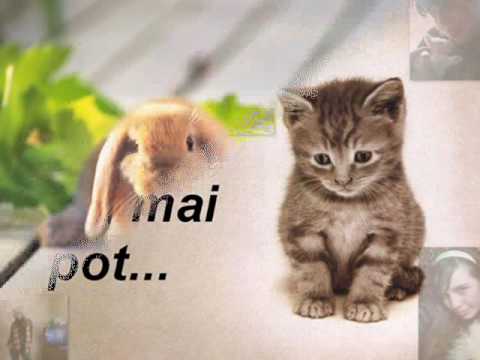 Andra feat. Adi korect - Cilt de suflet