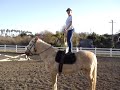 standing up on horse standing up on horse