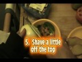 View Video