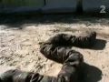 נשלח על ידי מושי בתאריך Fri Jun 26 2009 ב-t 06:58pm