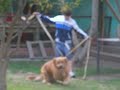 perro salvaje xD 3