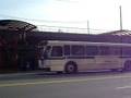 videos de NYCT Bus: 290 Orion V on Q20a