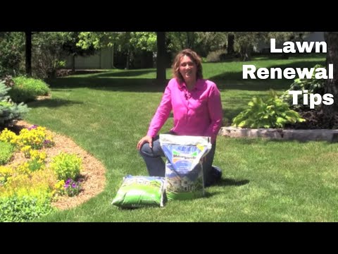 how to fertilize dead soil