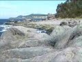the sea the sea