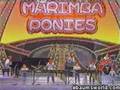 Marimba Ponies - Katchaturian Saber Dance