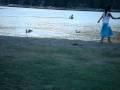 videos de jade and josh baumann document child torturing birds